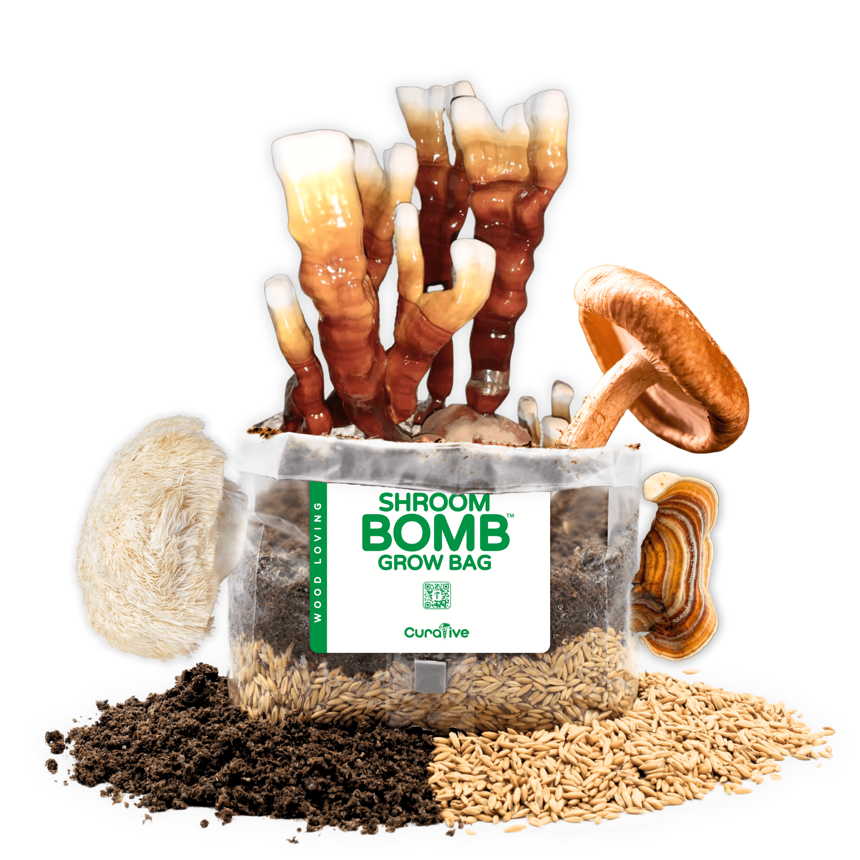 5 Pound Functional Mushroom Grow Bag