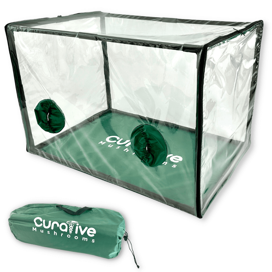 Still Air Box for Growing Mushrooms